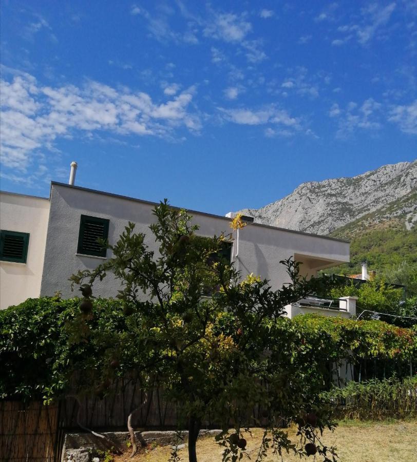 Apartmani Laguna Gradac  Esterno foto
